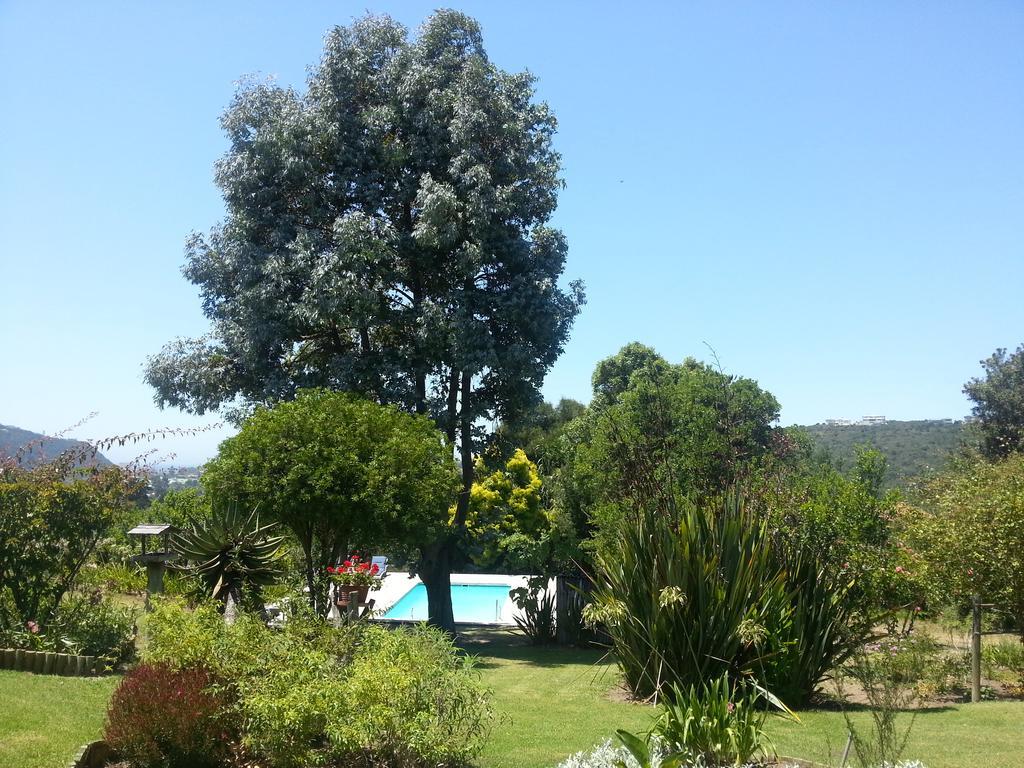Piesang Valley Lodge Plettenberg Bay Zimmer foto
